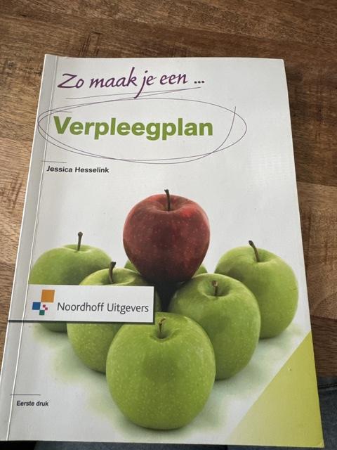 9789001804961-Zo-maak-je-een-verpleegplan