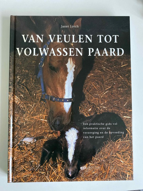 9789059203624-Van-veulen-tot-volwassen-paard
