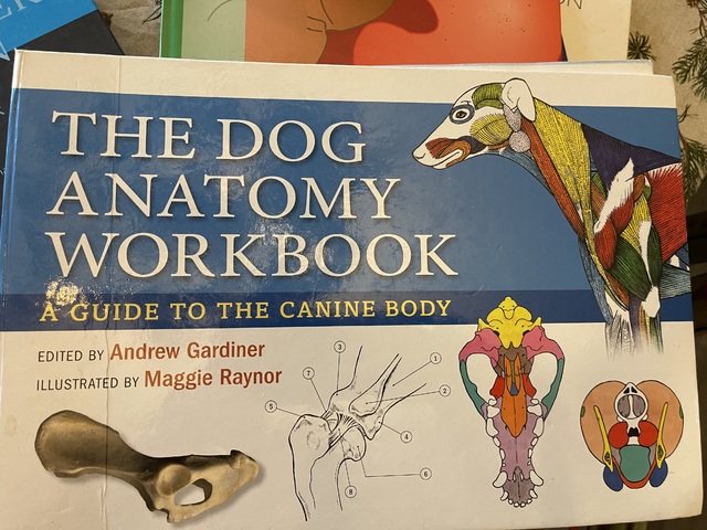 9780851319834-Dog-Anatomy-Workbook