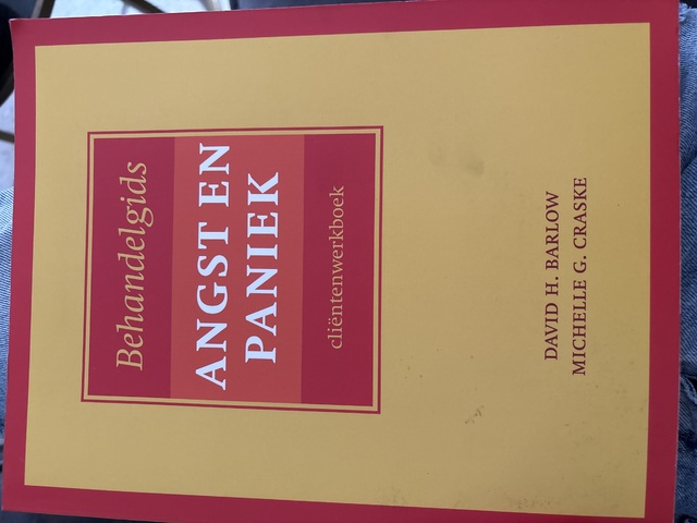 9789057123634-Behandelgids-angst-en-paniek