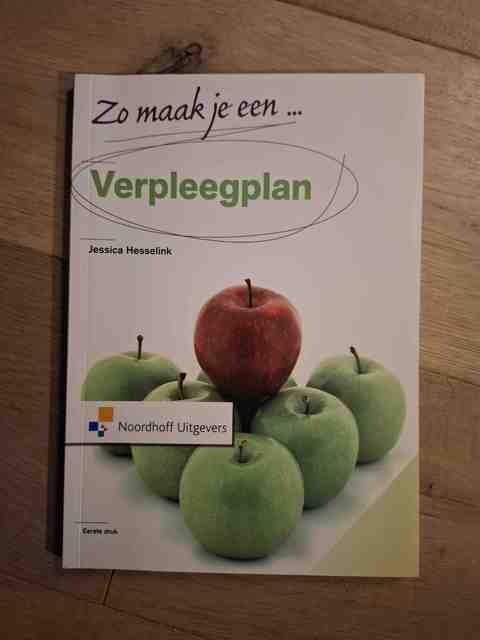 9789001804961-Zo-maak-je-een-verpleegplan