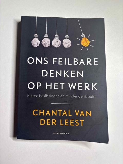 9789047011880-Ons-feilbare-denken-op-het-werk