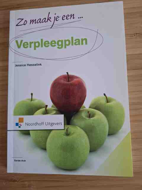 9789001804961-Zo-maak-je-een-verpleegplan