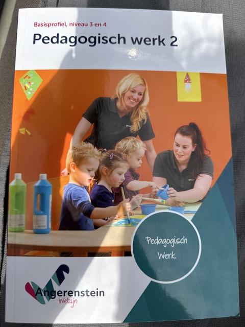 9789037254099-Pedagogisch-werk-2-niveau-34-basisprofiel