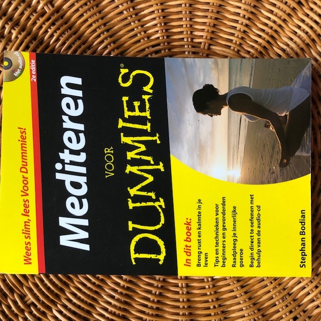 9789043013611-Mediteren-voor-Dummies