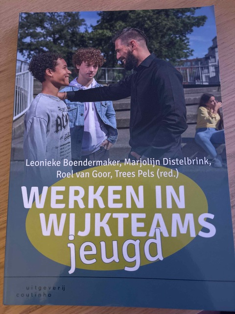 9789046908129-Werken-in-wijkteams-jeugd