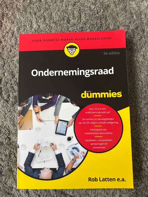 9789045357294-Ondernemingsraad-voor-Dummies