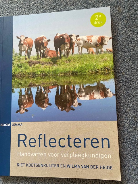 9789462363939-Reflecteren