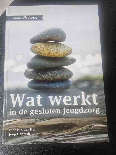 9789088501081-Wat-werkt-in-de-gesloten-jeugdzorg