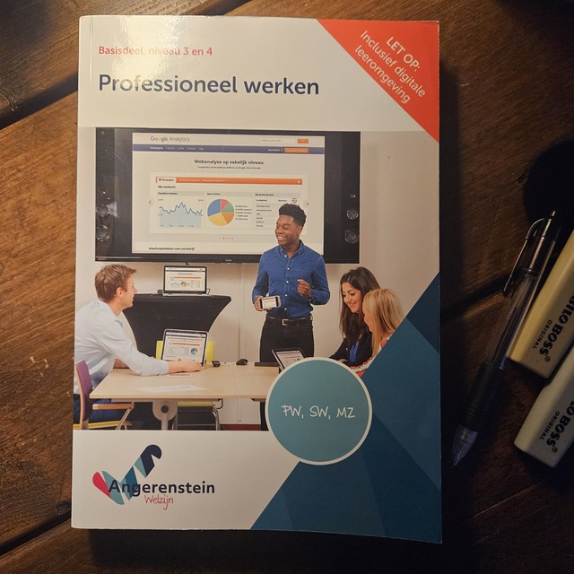 9789037254372-NIEUW-BOEK--Professioneel-werken