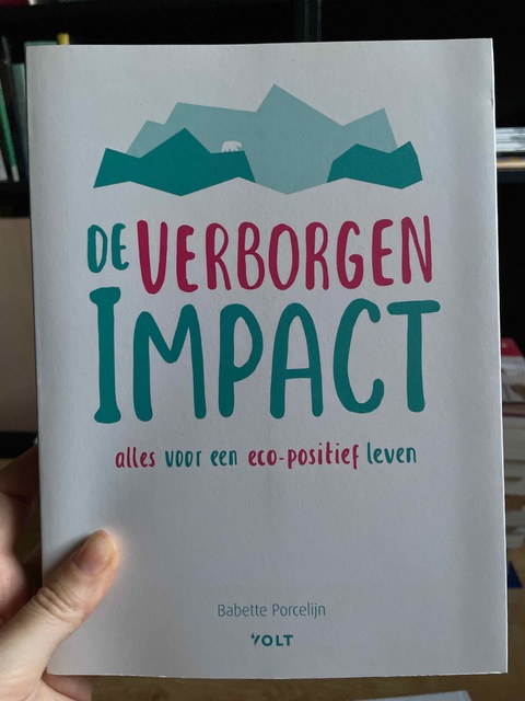 9789021408309-De-verborgen-impact