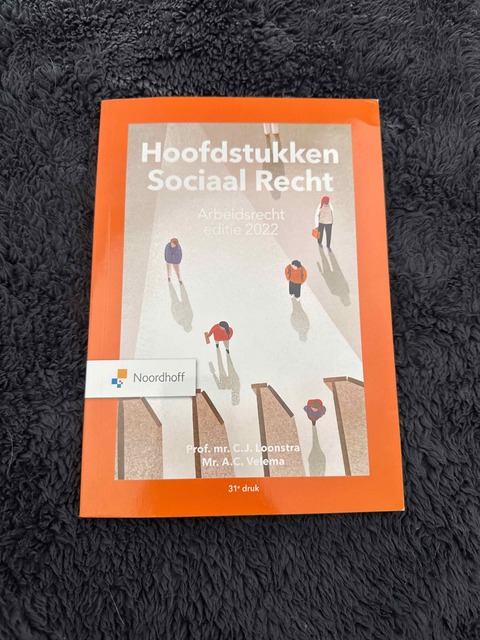 9789001299071-Hoofdstukken-sociaal-recht-2022