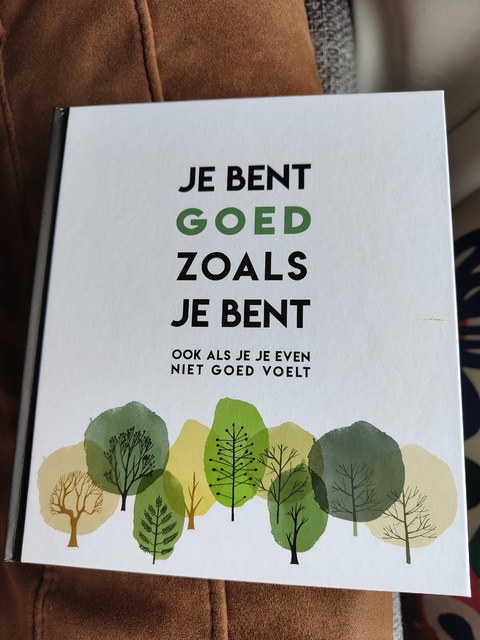 9789463544559-Je-bent-goed-zoals-je-bent