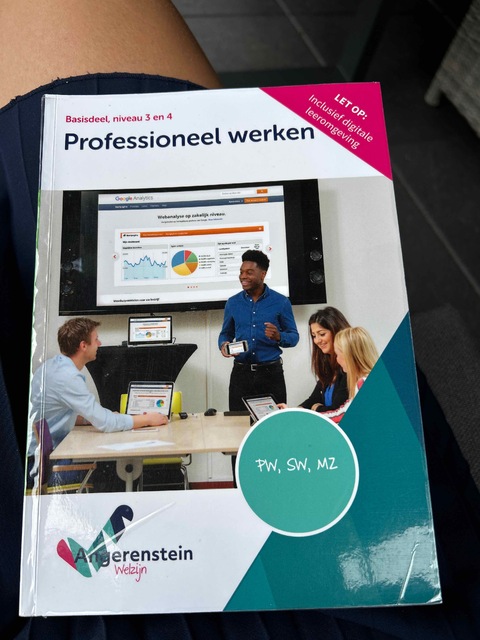 9789037254372-NIEUW-BOEK-Professioneel-werken