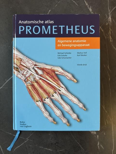 9789036815383-Algemene-anatomie-en-bewegingsapparaat