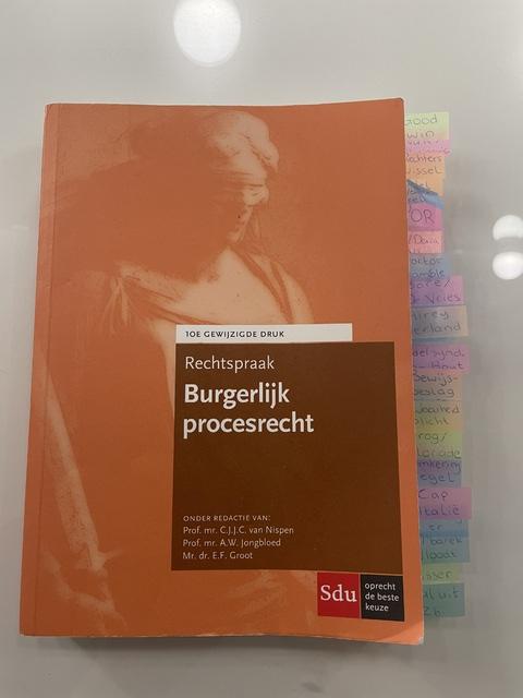 9789012402415-Rechtspraak-Burgerlijk-procesrecht