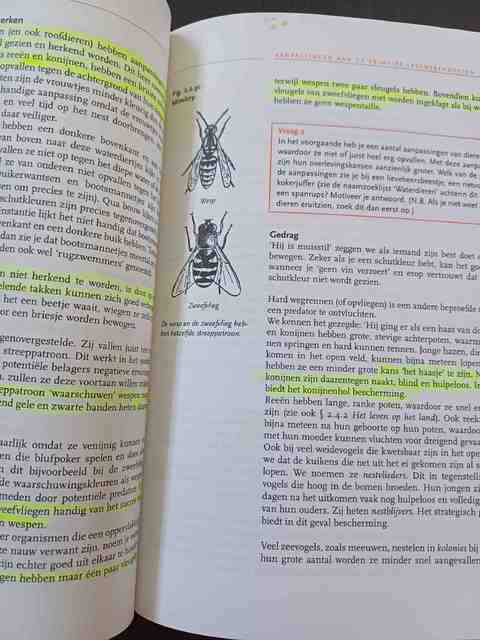 9789046900062-Natuuronderwijs-inzichtelijk-druk-2