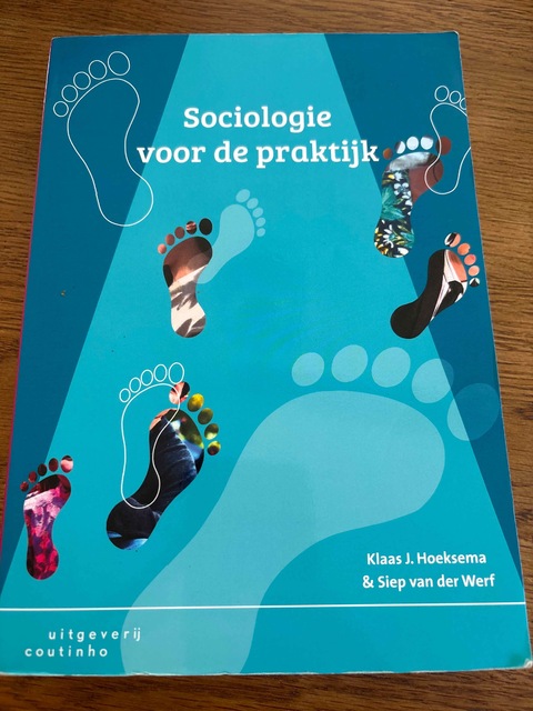 9789046905203-Sociologie-voor-de-praktijk