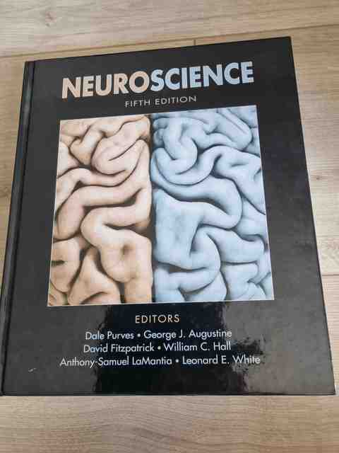 9780878936953-Neuroscience