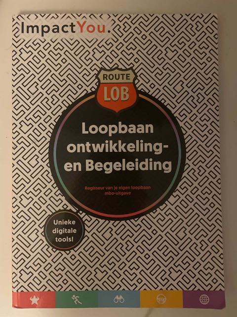 9789082584813-Loopbaanorientatie-begeleiding