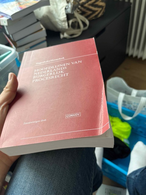 9789463173001-Hoofdlijnen-van-Nederlands-Burgerlijk-Procesrecht