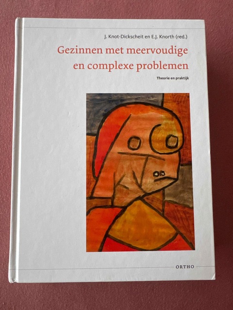 9789047711681-Gezinnen-met-meervoudige-en-complexe-problemen