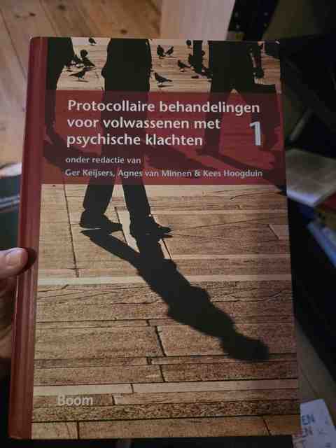 9789461057723-Protocollaire-behandelingen-voor-volwassenen-met-psychische-klachten