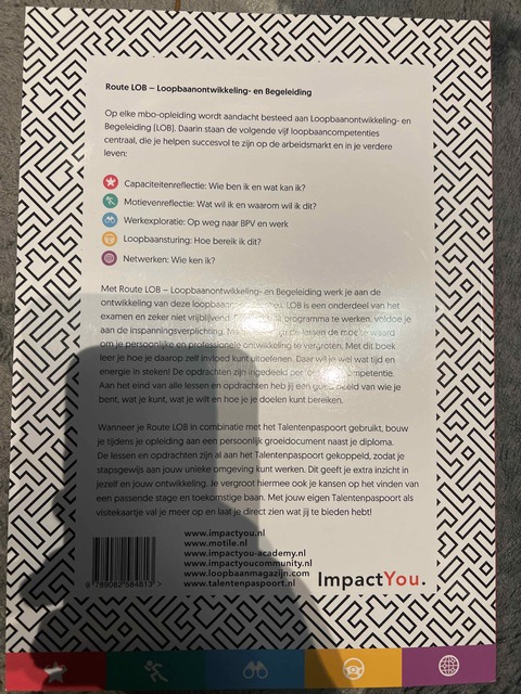 9789082584813-Loopbaanorientatie-begeleiding