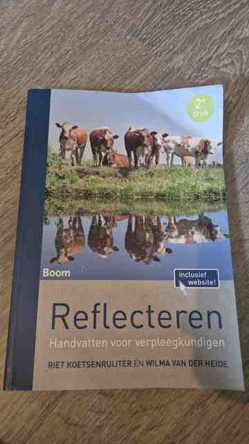 9789462363939-Reflecteren