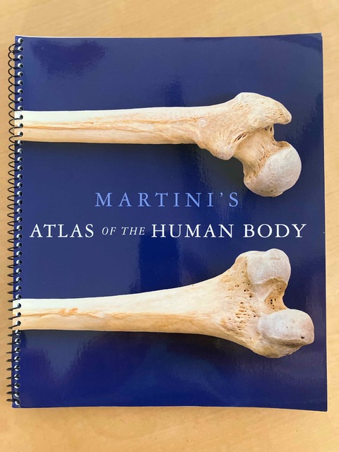 9780321724564-Martinis-Atlas-of-the-Human-Body