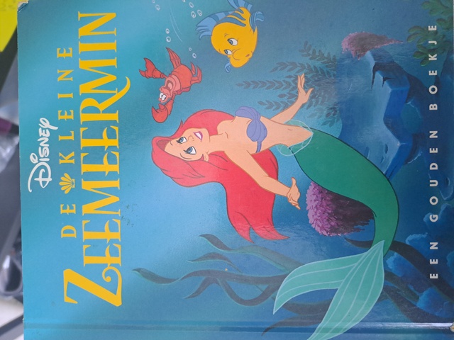 9789047602064-Kleine-Zeemeermin