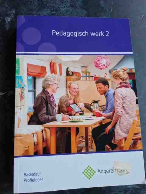 9789037229646-Pedagogisch-Werk-2-basisdeelprofieldeel