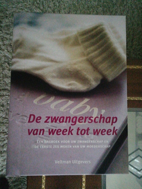 9789059206632-De-zwangerschap-van-week-tot-week
