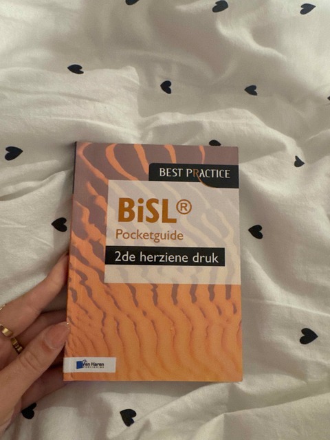 9789087537043-BiSL