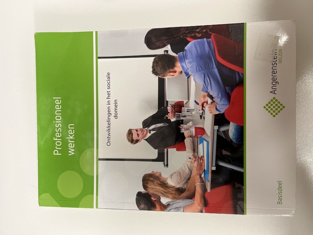 9789037223637-Professioneel-werken