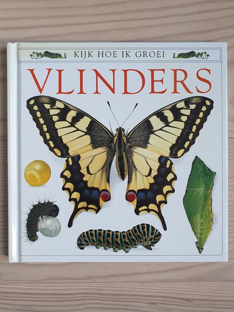 9789035906785-KIJK-HOE-IK-GROEI-VLINDERS