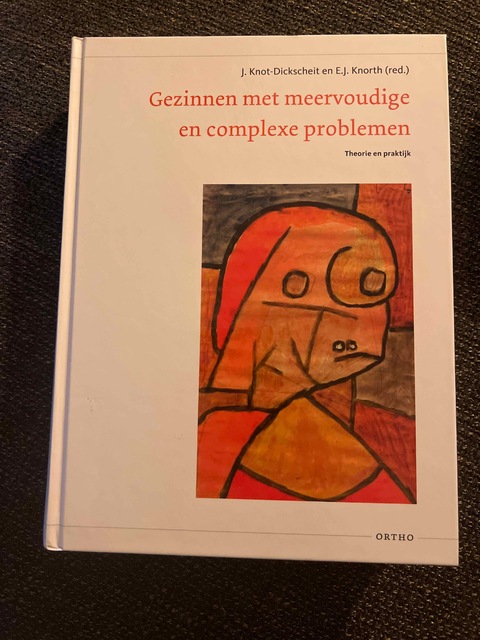 9789047711681-Gezinnen-met-meervoudige-en-complexe-problemen