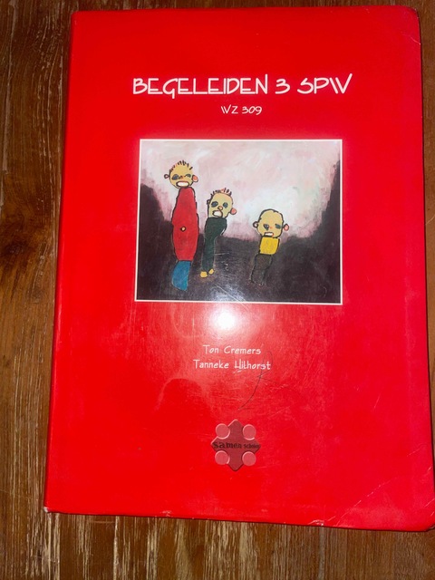 9789075753684-Begeleiden-3-SPW-WZ-309-druk-1