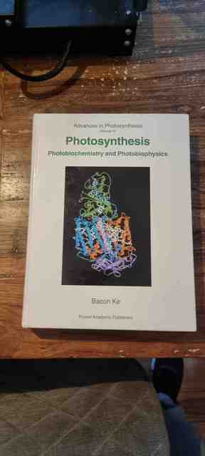 9780792363347-Photosynthesis