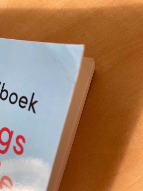 9789046907078-Handboek-ontwikkelingspsychopathologie-bij-kinderen-en-jeugdigen