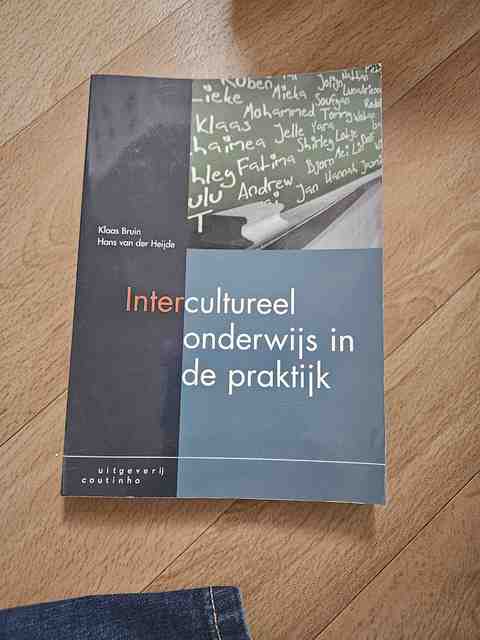 9789046900598-Intercultureel-onderwijs-in-de-praktijk