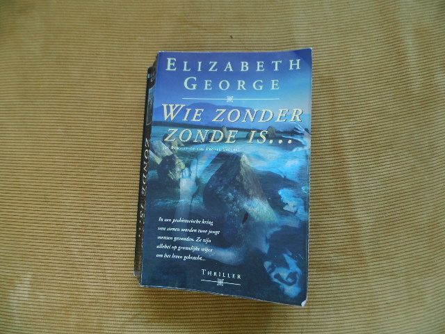 9789022984475-Wie-zonder-zonde-is...