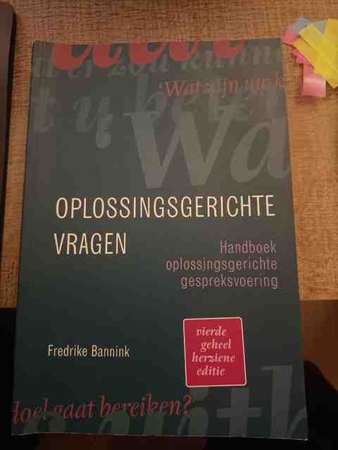 9789043036566-Oplossingsgerichte-vragen