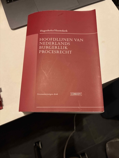 9789463174145-Hoofdlijnen-van-Nederlands-burgerlijk-procesrecht