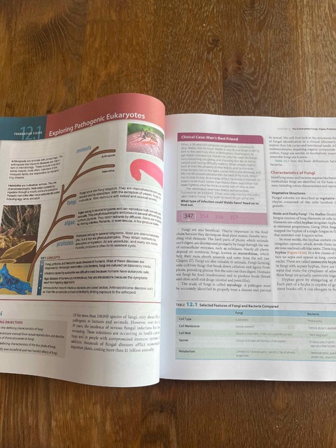 9781292099149-Microbiology-An-Introduction-Global-Edition