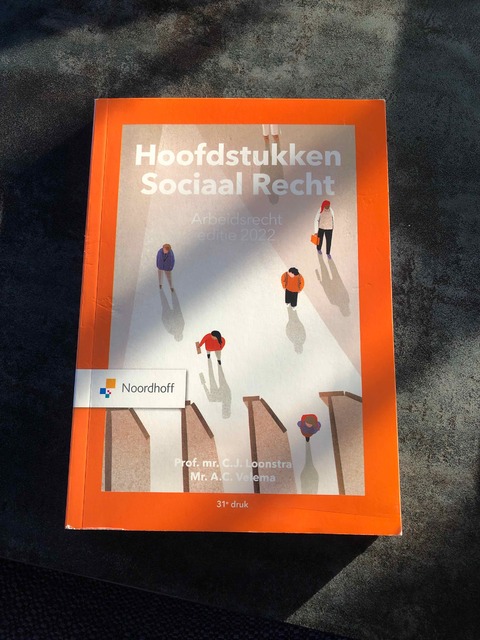 9789001299071-Hoofdstukken-sociaal-recht-2022