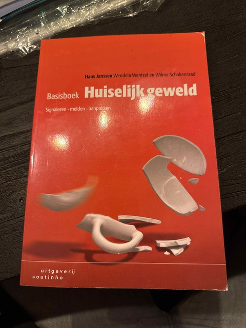 9789046906576-Basisboek-huiselijk-geweld