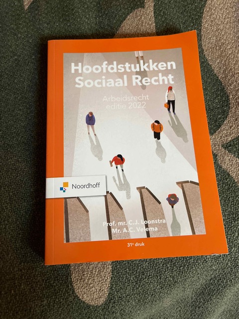 9789001299071-Hoofdstukken-sociaal-recht-2022