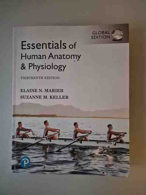 9781292401942-Essentials-of-Human-Anatomy-Physiology-Global-Edition