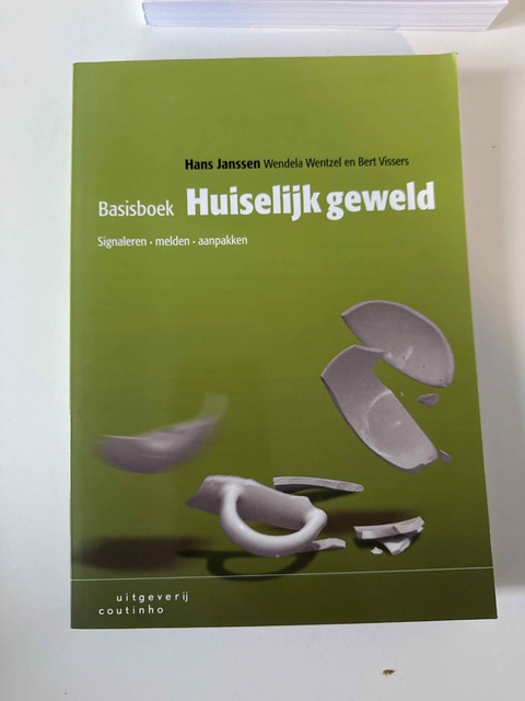 9789046904770-Basisboek-huiselijk-geweld